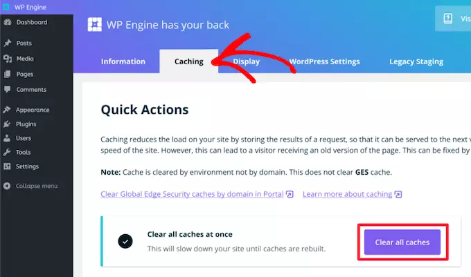 wp engine clear cache